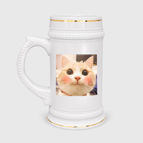 Кружка пивная с принтом Мем про котов в Кировске,  керамика (Материал выдерживает высокую температуру, стоит избегать резкого перепада температур) |  объем 630 мл | белый | кот | мем | милый | прикол
