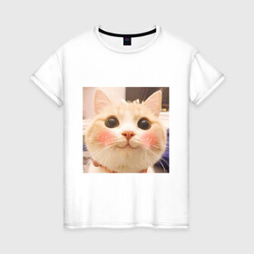 Женская футболка хлопок с принтом Мем про котов в Кировске, 100% хлопок | прямой крой, круглый вырез горловины, длина до линии бедер, слегка спущенное плечо | белый | кот | мем | милый | прикол