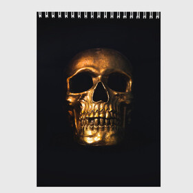 Скетчбук с принтом Golden Skull в Кировске, 100% бумага
 | 48 листов, плотность листов — 100 г/м2, плотность картонной обложки — 250 г/м2. Листы скреплены сверху удобной пружинной спиралью | Тематика изображения на принте: golden | midas | skull | иллюстрация | черепа