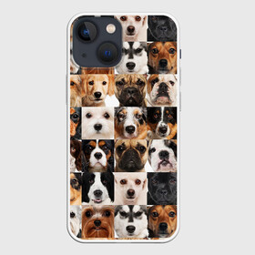 Чехол для iPhone 13 mini с принтом Я ЛЮБЛЮ СОБАК   I LOVE DOGS в Кировске,  |  | collage dogs | dogs | i love dogs | домашние животные | друзья наши младшие | коллаж | собаки | собачки. | я люблю собак