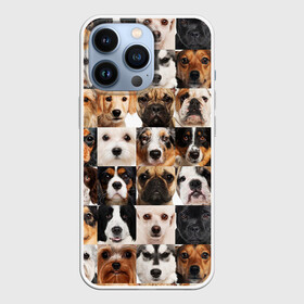 Чехол для iPhone 13 Pro с принтом Я ЛЮБЛЮ СОБАК   I LOVE DOGS в Кировске,  |  | Тематика изображения на принте: collage dogs | dogs | i love dogs | домашние животные | друзья наши младшие | коллаж | собаки | собачки. | я люблю собак