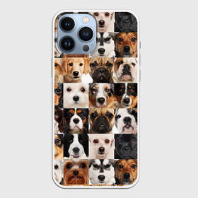 Чехол для iPhone 13 Pro Max с принтом Я ЛЮБЛЮ СОБАК   I LOVE DOGS в Кировске,  |  | collage dogs | dogs | i love dogs | домашние животные | друзья наши младшие | коллаж | собаки | собачки. | я люблю собак