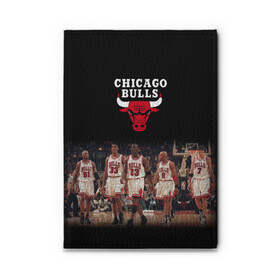 Обложка для автодокументов с принтом CHICAGO BULLS [3] в Кировске, натуральная кожа |  размер 19,9*13 см; внутри 4 больших “конверта” для документов и один маленький отдел — туда идеально встанут права | Тематика изображения на принте: basketball | bulls | chicago | chicago bulls | jordan | nba | баскетбол | джордан | нба | чикаго буллз