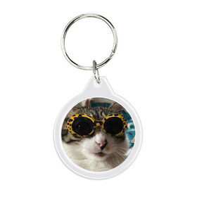 Брелок круглый с принтом Мем про кота в Кировске, пластик и полированная сталь | круглая форма, металлическое крепление в виде кольца | Тематика изображения на принте: в очках | киса селфи | кот | мем | милый | прикол