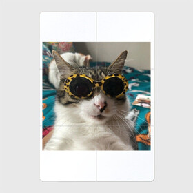 Магнитный плакат 2Х3 с принтом Мем про кота в Кировске, Полимерный материал с магнитным слоем | 6 деталей размером 9*9 см | Тематика изображения на принте: в очках | киса селфи | кот | мем | милый | прикол