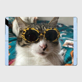 Магнитный плакат 3Х2 с принтом Мем про кота в Кировске, Полимерный материал с магнитным слоем | 6 деталей размером 9*9 см | Тематика изображения на принте: в очках | киса селфи | кот | мем | милый | прикол