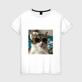 Женская футболка хлопок с принтом Мем про кота в Кировске, 100% хлопок | прямой крой, круглый вырез горловины, длина до линии бедер, слегка спущенное плечо | в очках | киса селфи | кот | мем | милый | прикол