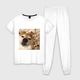 Женская пижама хлопок с принтом Мем про собак в Кировске, 100% хлопок | брюки и футболка прямого кроя, без карманов, на брюках мягкая резинка на поясе и по низу штанин | белый | игрушки мягкие | мем | милый | прикол | сиба ину | собака