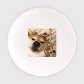 Тарелка с принтом Мем про собак в Кировске, фарфор | диаметр - 210 мм
диаметр для нанесения принта - 120 мм | белый | игрушки мягкие | мем | милый | прикол | сиба ину | собака
