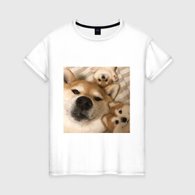 Женская футболка хлопок с принтом Мем про собак в Кировске, 100% хлопок | прямой крой, круглый вырез горловины, длина до линии бедер, слегка спущенное плечо | белый | игрушки мягкие | мем | милый | прикол | сиба ину | собака