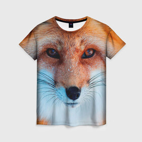 Женская футболка 3D с принтом Мордочка лисы в Кировске, 100% полиэфир ( синтетическое хлопкоподобное полотно) | прямой крой, круглый вырез горловины, длина до линии бедер | fox | foxy | животное | звери | лиса | лисенок | лисичка | милая | рыжая | фокс