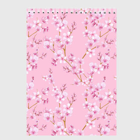 Скетчбук с принтом Цветущая розовая вишня в Кировске, 100% бумага
 | 48 листов, плотность листов — 100 г/м2, плотность картонной обложки — 250 г/м2. Листы скреплены сверху удобной пружинной спиралью | Тематика изображения на принте: cherry blossom | sakura | азия | весна | ветки | вишня | для девушки | женский | милый | нежный | природа | розовый | сакура | цветение | цветочный принт | цветущая вишня | цветущие ветки | цветущий миндаль