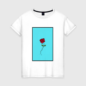 Женская футболка хлопок с принтом Одинокая роза в Кировске, 100% хлопок | прямой крой, круглый вырез горловины, длина до линии бедер, слегка спущенное плечо | rose | колючая проволока | колючки | роза | шипы