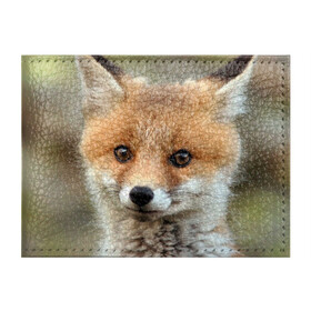 Обложка для студенческого билета с принтом Миленький лисенок в Кировске, натуральная кожа | Размер: 11*8 см; Печать на всей внешней стороне | fox | foxy | животное | звери | лиса | лисенок | лисичка | милая | рыжая | фокс