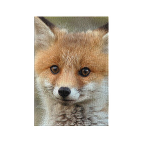 Обложка для паспорта матовая кожа с принтом Миленький лисенок в Кировске, натуральная матовая кожа | размер 19,3 х 13,7 см; прозрачные пластиковые крепления | fox | foxy | животное | звери | лиса | лисенок | лисичка | милая | рыжая | фокс