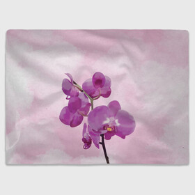 Плед 3D с принтом Нежная орхидея в Кировске, 100% полиэстер | закругленные углы, все края обработаны. Ткань не мнется и не растягивается | blossom | nature | orchid | женственность | красивые цветы | орхидеи | орхидея | фаленопсис