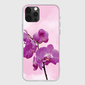 Чехол для iPhone 12 Pro Max с принтом Нежная орхидея в Кировске, Силикон |  | blossom | nature | orchid | женственность | красивые цветы | орхидеи | орхидея | фаленопсис