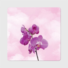 Магнит виниловый Квадрат с принтом Нежная орхидея в Кировске, полимерный материал с магнитным слоем | размер 9*9 см, закругленные углы | blossom | nature | orchid | женственность | красивые цветы | орхидеи | орхидея | фаленопсис