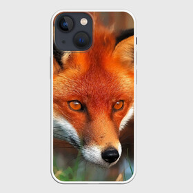 Чехол для iPhone 13 mini с принтом Лисица охотница в Кировске,  |  | fox | foxy | животное | звери | лиса | лисенок | лисичка | милая | рыжая | фокс