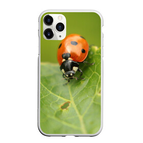 Чехол для iPhone 11 Pro матовый с принтом Божья коровка в Кировске, Силикон |  | божья | жук | жуки | жучки | жучок | зелень | коровка | лист | листок | листья | насекомое | насекомые | природа | пятнистые | пятнистый | растение | растения | фауна | флора