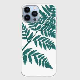 Чехол для iPhone 13 Pro Max с принтом Зелёный папоротник в Кировске,  |  | Тематика изображения на принте: ветка | зеленый | листик | папоротник | природа | растение