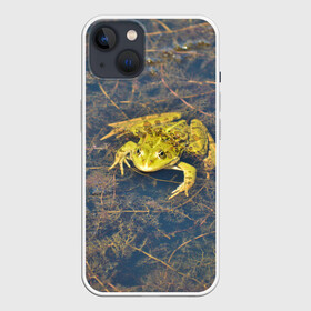Чехол для iPhone 13 с принтом Лягушка в Кировске,  |  | болота | болотные | болотный | болото | водоём | водоёмы | животное | животные | лягушка | лягушки | природа | фауна | флора