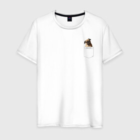 Мужская футболка хлопок с принтом PocketPuppy#3 в Кировске, 100% хлопок | прямой крой, круглый вырез горловины, длина до линии бедер, слегка спущенное плечо. | cute | dog | puppy | карман | милый | мопс | собака | щенок