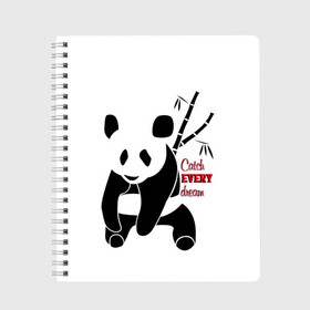 Тетрадь с принтом Панда и сон в Кировске, 100% бумага | 48 листов, плотность листов — 60 г/м2, плотность картонной обложки — 250 г/м2. Листы скреплены сбоку удобной пружинной спиралью. Уголки страниц и обложки скругленные. Цвет линий — светло-серый
 | животные | звери | лень | медведь | отдых | панда | природа | сон | усталость