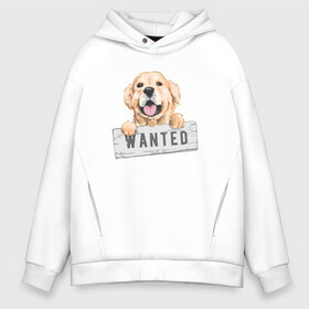 Мужское худи Oversize хлопок с принтом Dog Wanted в Кировске, френч-терри — 70% хлопок, 30% полиэстер. Мягкий теплый начес внутри —100% хлопок | боковые карманы, эластичные манжеты и нижняя кромка, капюшон на магнитной кнопке | cute | dog | wanted | woof | гав | забавный | пес | песель | песик | смешной | собака | собачка | щенок