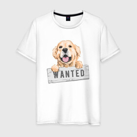 Мужская футболка хлопок с принтом Dog Wanted в Кировске, 100% хлопок | прямой крой, круглый вырез горловины, длина до линии бедер, слегка спущенное плечо. | cute | dog | wanted | woof | гав | забавный | пес | песель | песик | смешной | собака | собачка | щенок