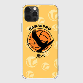 Чехол для iPhone 12 Pro с принтом Старшая школа Карасуно Haikyu! в Кировске, силикон | область печати: задняя сторона чехла, без боковых панелей | anime | haikyu | haikyuu | karasuno | karasuno high | manga | аниме | волейбол | волейбольный клуб | ворон | вороны | карасуно | крылья | лого | логотип | манга | надпись | птица | старшая школа | хаику | хаикую