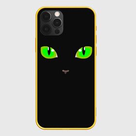 Чехол для iPhone 12 Pro с принтом КОШАЧЬИ ГЛАЗКИ в Кировске, силикон | область печати: задняя сторона чехла, без боковых панелей | cat | cat eyes | eyes | аниме | взгляд | глаза | глаза кошки | глазки | животные | зелёный | киса | кот | коте | котейка | котенок | котэ | котя | кошачий глаз | кошачьи глаза | кошечка | кошка | мордочка