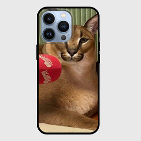 Чехол для iPhone 13 Pro с принтом Шлёпа в Кировске,  |  | floppa | большой | военный | каракал | кот | преступник | русский | шлёпа