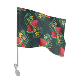 Флаг для автомобиля с принтом Арзуб и папоротник в Кировске, 100% полиэстер | Размер: 30*21 см | арбуз | арт | иллюстрация | папоротник | цветок | ягода