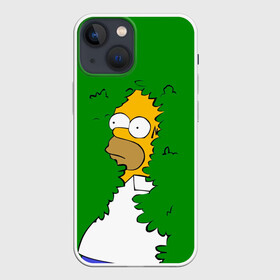 Чехол для iPhone 13 mini с принтом Мем с Гомером в Кировске,  |  | gomer | mem | simpsons | the simpson | гомер | мем | мемы | мульт | мультфильм | симпсоны