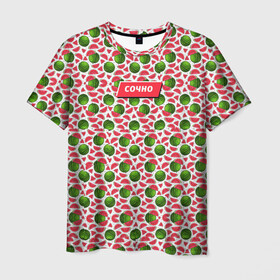 Мужская футболка 3D с принтом Арбузы в Кировске, 100% полиэфир | прямой крой, круглый вырез горловины, длина до линии бедер | Тематика изображения на принте: арбузы | лето | паттерн | фрукты | ягоды