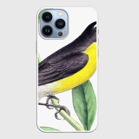 Чехол для iPhone 13 Pro Max с принтом Птица в Кировске,  |  | animal | animals | bird | birds | black | blue | colorful | cool | crow | cute | forest | fun | funny | green | mountains | music | nature | pat | pink | raven | retro | tree | vintage | wildlife | yellow | ветка | желтый | животные | листья | природа | п