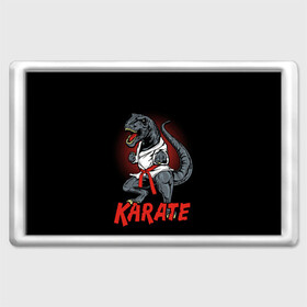 Магнит 45*70 с принтом KARATE T-REX в Кировске, Пластик | Размер: 78*52 мм; Размер печати: 70*45 | animal | dinosaur | fight | fighter | hunter | karate | red | sport | strong | t rex | боец | бои | динозавр | карате | сила | спорт | тиранозавр | хищник