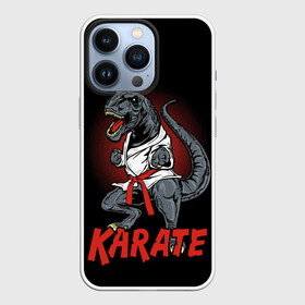 Чехол для iPhone 13 Pro с принтом KARATE T REX в Кировске,  |  | animal | dinosaur | fight | fighter | hunter | karate | red | sport | strong | t rex | боец | бои | динозавр | карате | сила | спорт | тиранозавр | хищник