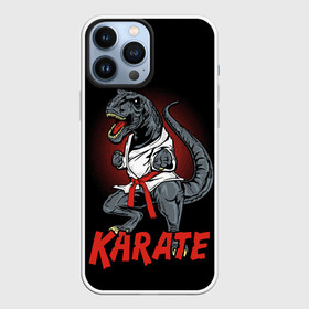 Чехол для iPhone 13 Pro Max с принтом KARATE T REX в Кировске,  |  | animal | dinosaur | fight | fighter | hunter | karate | red | sport | strong | t rex | боец | бои | динозавр | карате | сила | спорт | тиранозавр | хищник