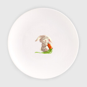 Тарелка с принтом Солнышко с морковкой в Кировске, фарфор | диаметр - 210 мм
диаметр для нанесения принта - 120 мм | Тематика изображения на принте: животное | зайчик | заяц | зверь | кролик | морковка | пушистый | серый зайка | уши | хвост