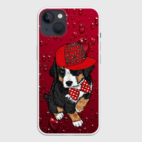 Чехол для iPhone 13 с принтом Cool Dog в Кировске,  |  | арт | бабочка | графика | животные | звери | кепка | собака