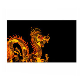 Бумага для упаковки 3D с принтом Золотой китайский дракон в Кировске, пластик и полированная сталь | круглая форма, металлическое крепление в виде кольца | Тематика изображения на принте: азиатский дракон | дракон | золотой | золотой азиатский дракон | золотой дракон | золотой китайский дракон | золотой японский дракон | китайский дракон | японский дракон
