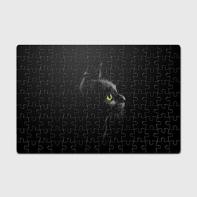 Головоломка Пазл магнитный 126 элементов с принтом Черный кот в Кировске, полимерный материал с магнитным слоем | 126 деталей, размер изделия —  180*270 мм | взгляд | глаза | киса | киска | кот | котик | котяра | профиль | пушистый | усы