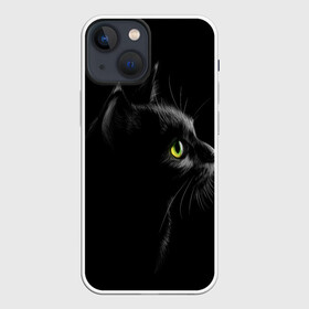 Чехол для iPhone 13 mini с принтом Черный кот в Кировске,  |  | взгляд | глаза | киса | киска | кот | котик | котяра | профиль | пушистый | усы