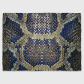 Плед 3D с принтом Рептилоид. Змея в Кировске, 100% полиэстер | закругленные углы, все края обработаны. Ткань не мнется и не растягивается | берегите природу | змея | кожа | экология