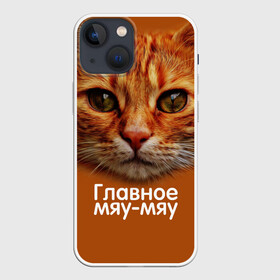 Чехол для iPhone 13 mini с принтом ГЛАВНОЕ МЯУ МЯУ в Кировске,  |  | главное мяу мяу | животные | кот | кошка | мордочка | мяу | рыжий