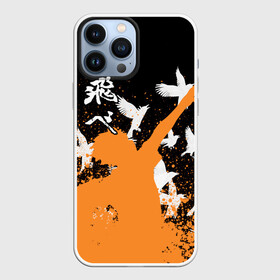 Чехол для iPhone 13 Pro Max с принтом Волейбол   Вороны в Кировске,  |  | anime | haikyu | manga | аниме | волейбол | манга | хината | шоё хината