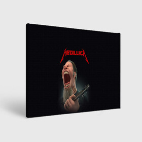 Холст прямоугольный с принтом James Alan Hetfield | METALLICA (Z) в Кировске, 100% ПВХ |  | james alan hetfield | kurt kobein | metallica | rock | джеймс хэтфилд | курт кобейн | металика | металлика | рок | супер звезда