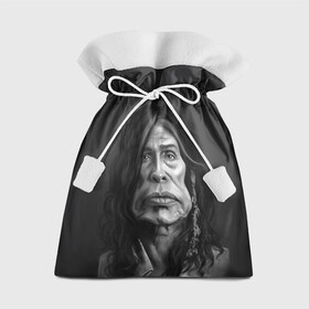 Подарочный 3D мешок с принтом Steven Tyler | AEROSMITH (Z) в Кировске, 100% полиэстер | Размер: 29*39 см | aerosmith | rock | steven tyler | айросмит | блюз рок | брэд уитфорд | глэм метал | глэм рок | джо перри | джоуи крамер | музыка | рок | рок н ролл | стивен тайлер | том хэмилтон | хард рок